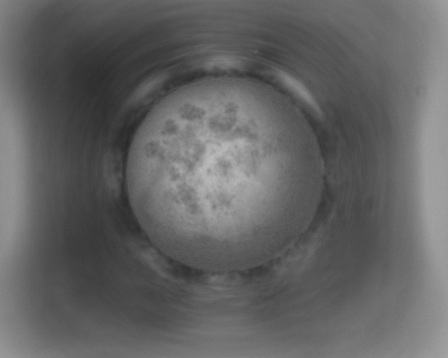 X0000114431015200910231229