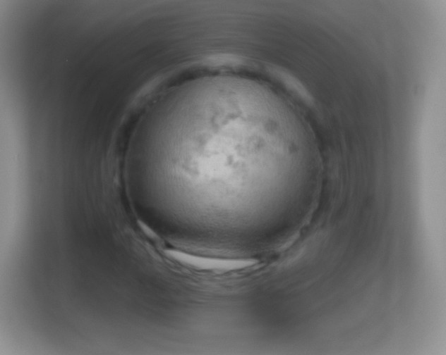 X0000114431016200910231229