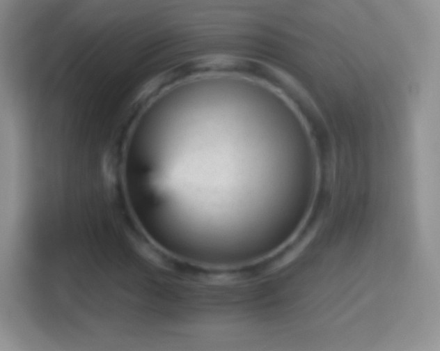 X0000114431017200910231229