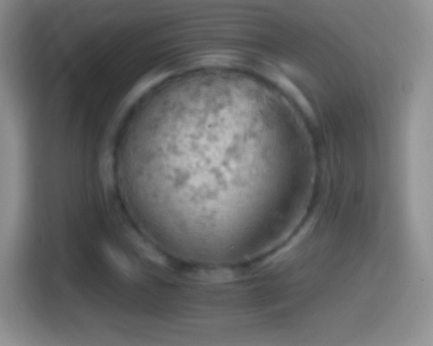 X0000114431019200910231229