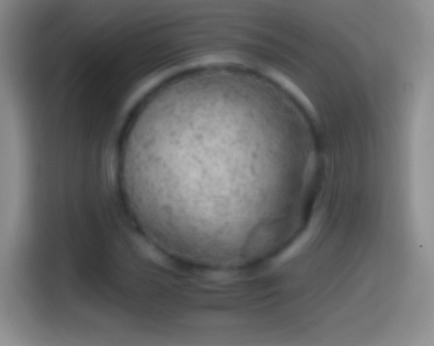 X0000114431021200910231229