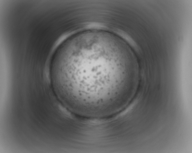 X0000114431022200910231229