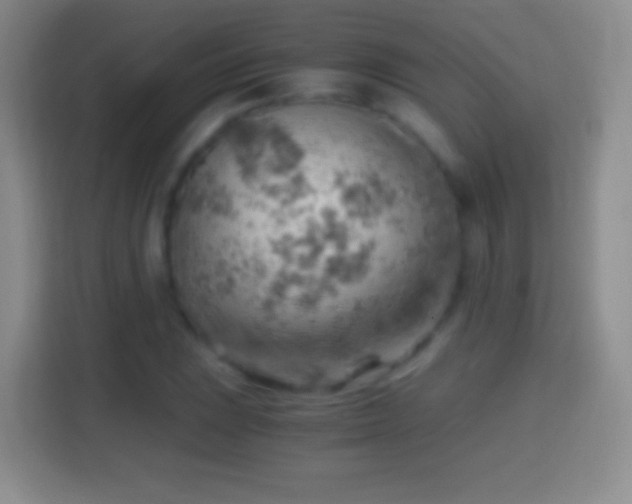 X0000114431023200910231229
