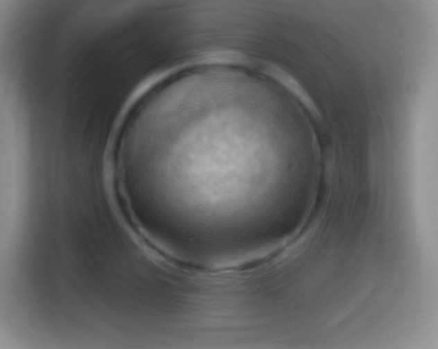 X0000114431024200910231229
