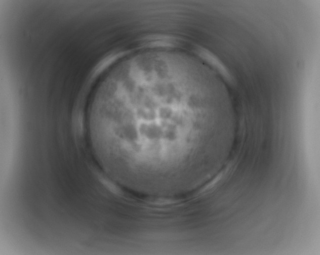 X0000114431027200910231229