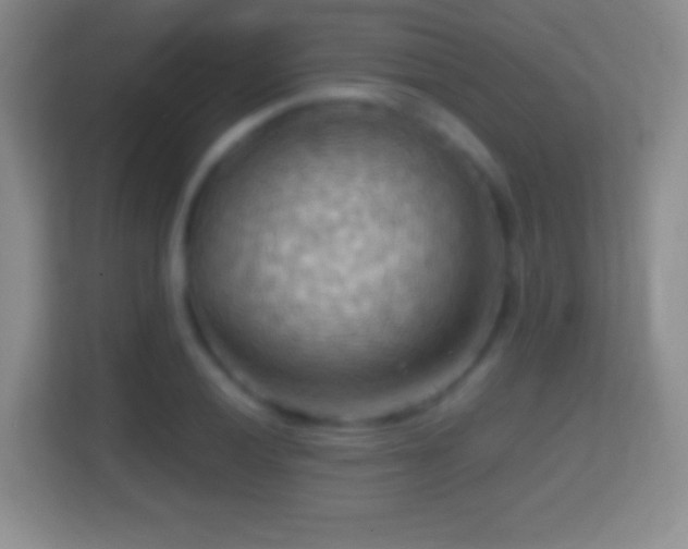X0000114431028200910231229