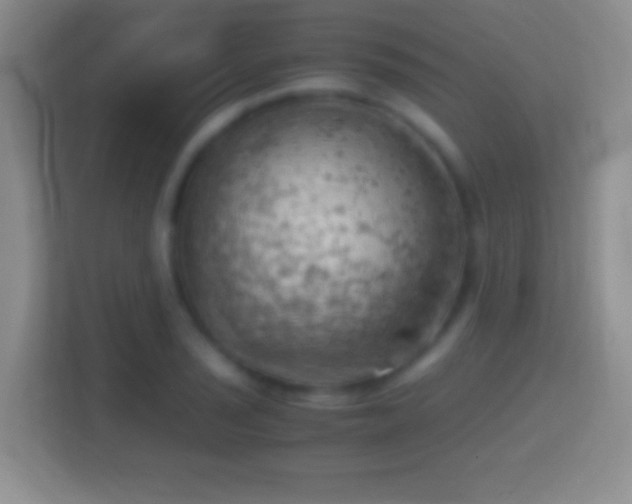 X0000114431029200910231229
