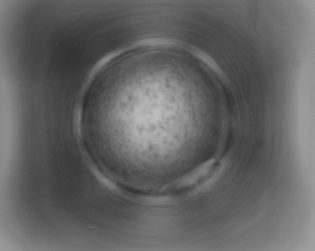 X0000114431030200910231229