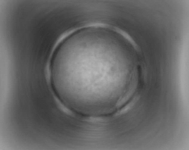 X0000114431032200910231229