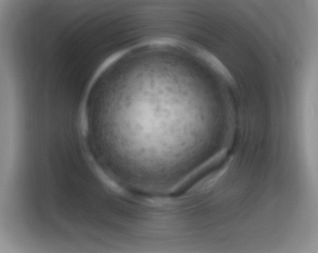 X0000114431036200910231230