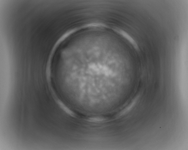 X0000114431037200910231230