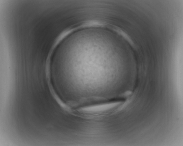 X0000114431038200910231230