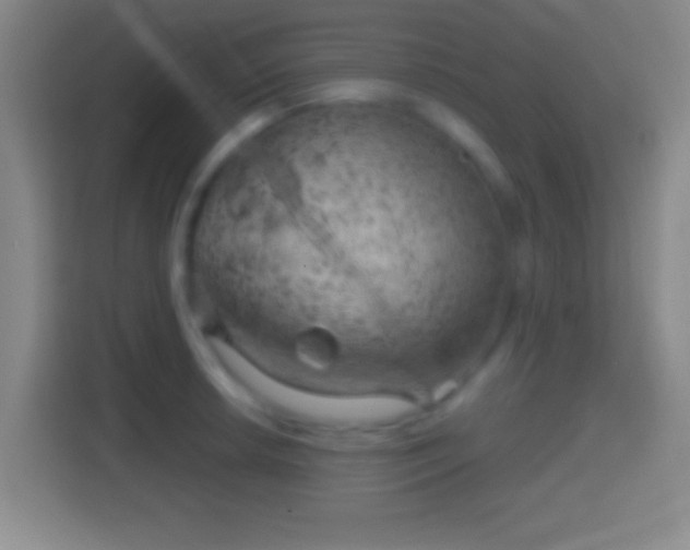 X0000114431042200910231230