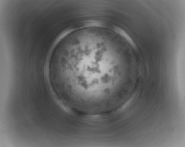 X0000114431043200910231230