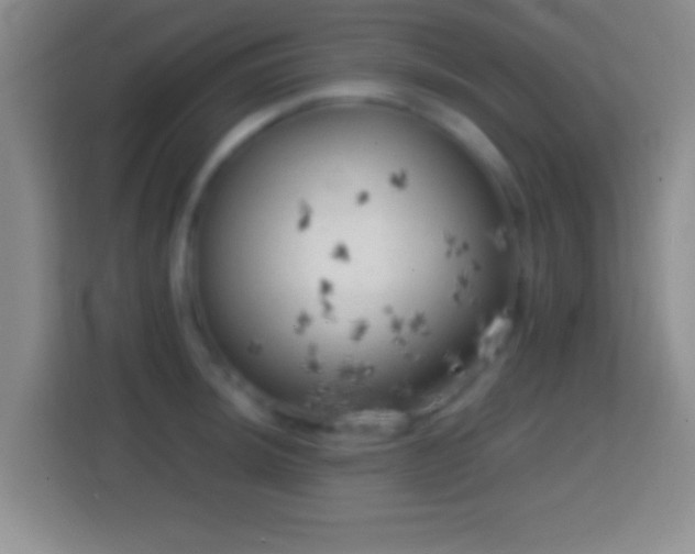 X0000114431044200910231230
