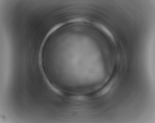 X0000114431045200910231230