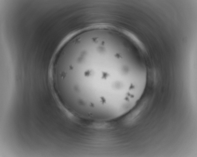 X0000114431046200910231230