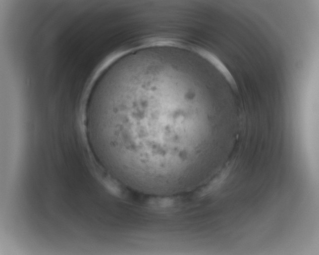 X0000114431051200910231230