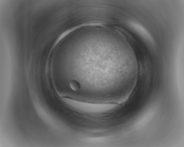 X0000114431052200910231230