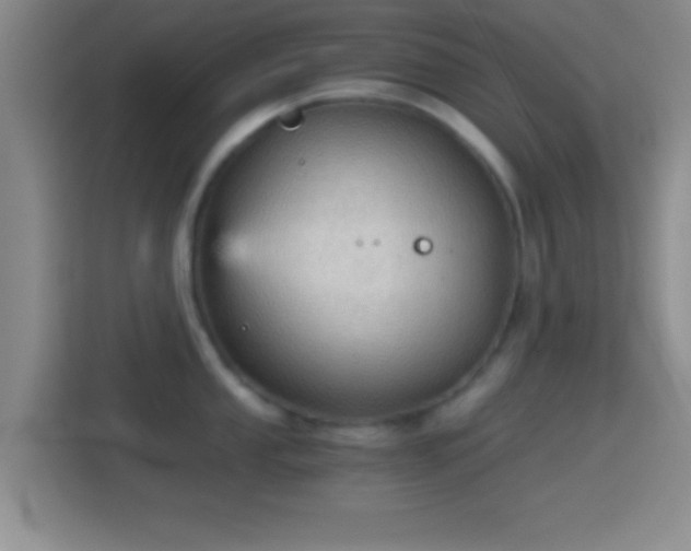 X0000114431053200910231230
