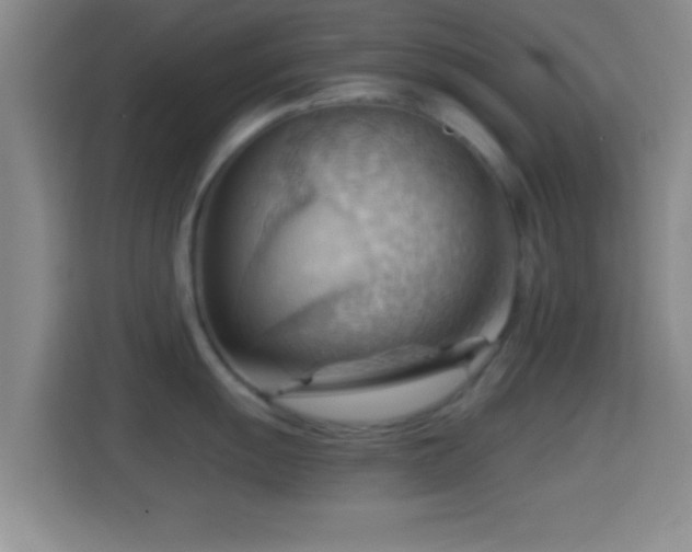 X0000114431055200910231230