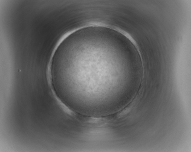 X0000114431056200910231230