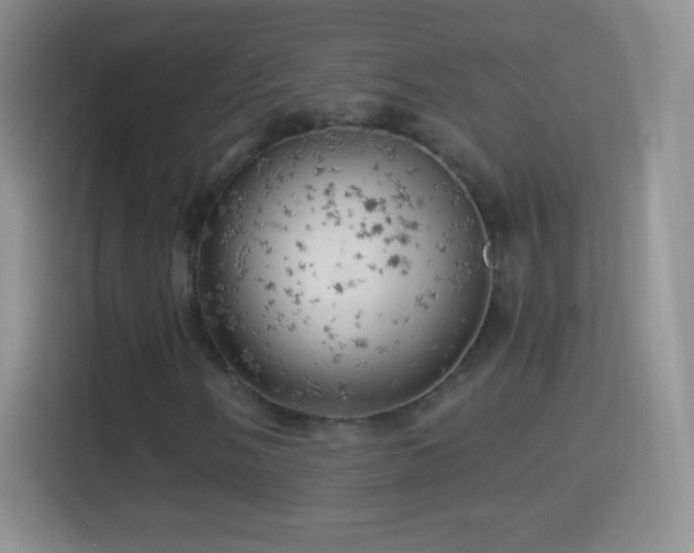 X0000114431058200910231229