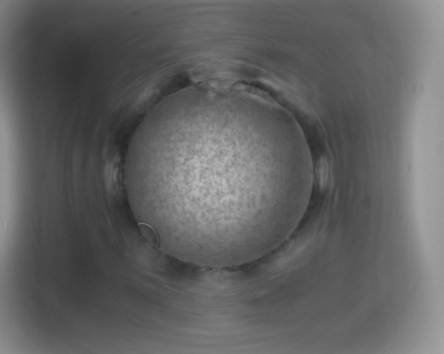 X0000114431059200910231229