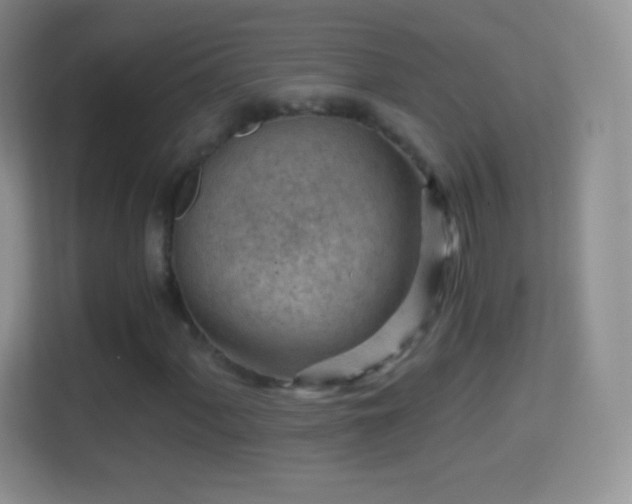 X0000114431060200910231229