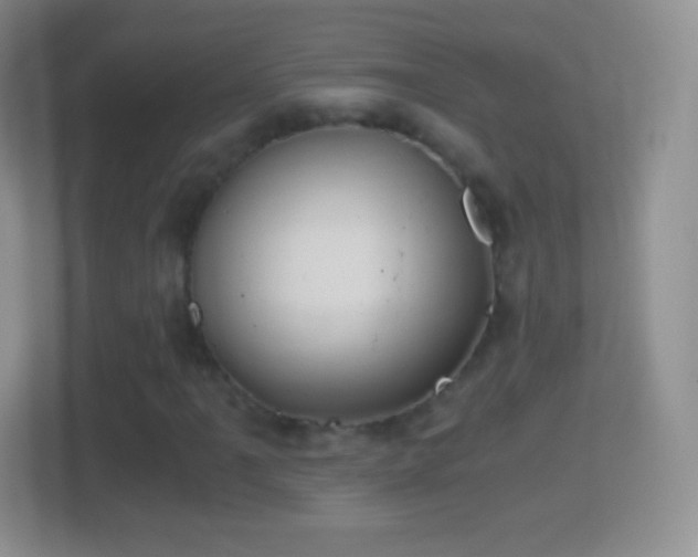 X0000114431061200910231229
