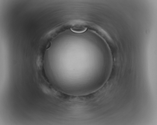X0000114431063200910231229