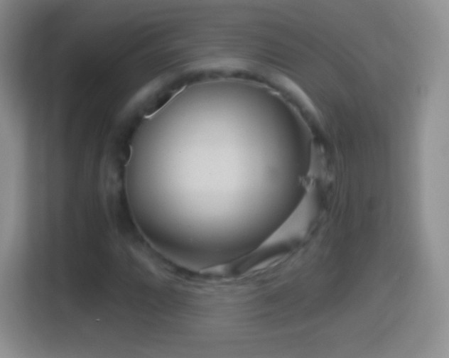 X0000114431064200910231229