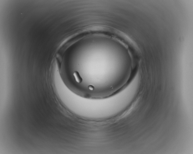 X0000114431065200910231229