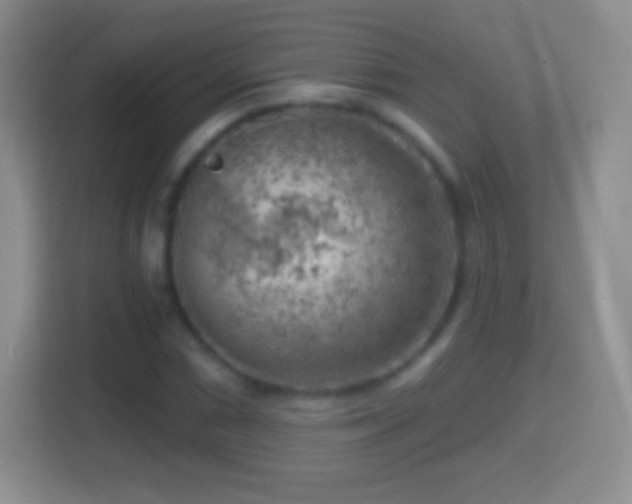 X0000114431066200910231229