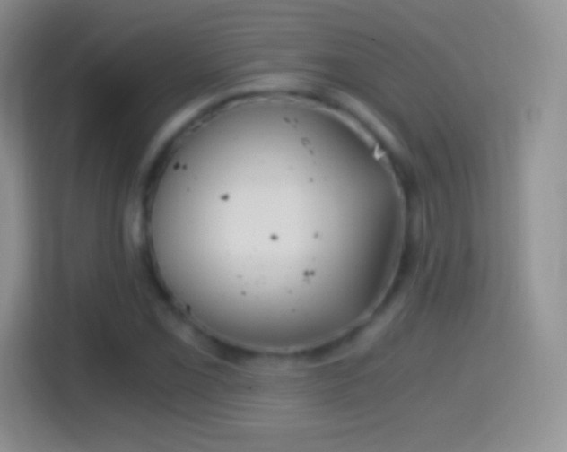 X0000114431069200910231229