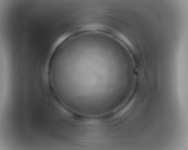 X0000114431071200910231229