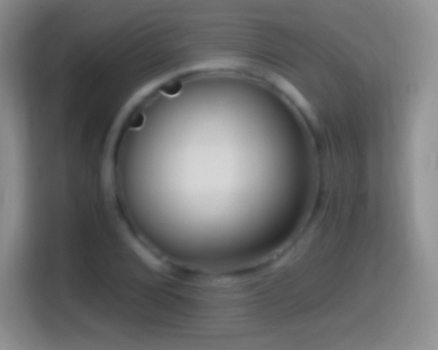 X0000114431072200910231229