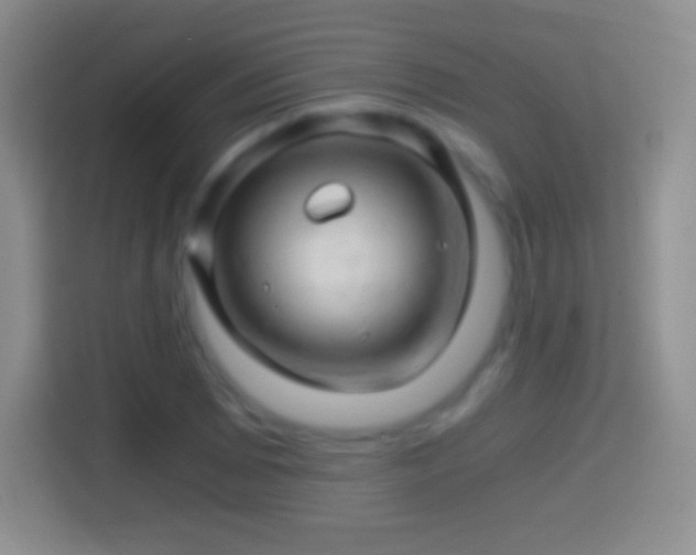 X0000114431073200910231229