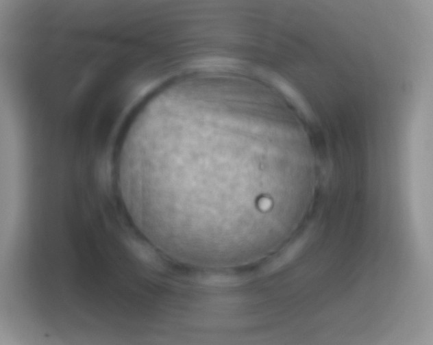 X0000114431074200910231229