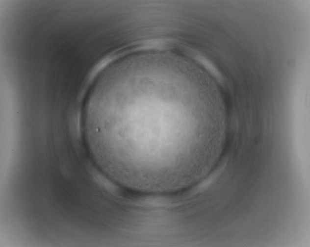 X0000114431075200910231229