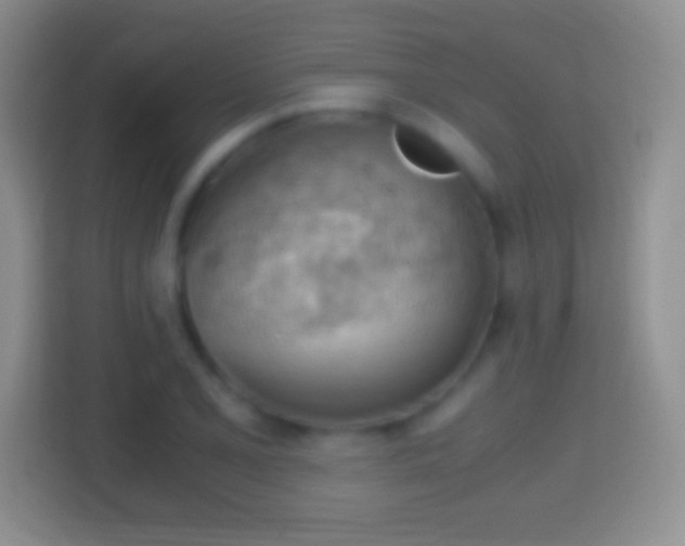 X0000114431077200910231229