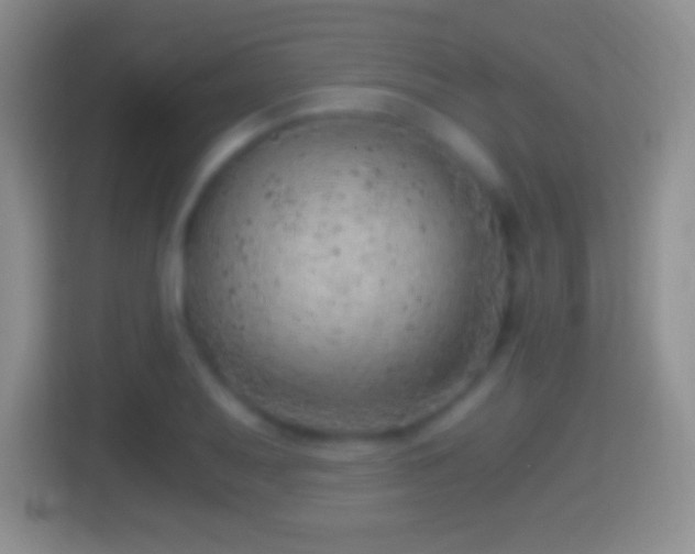 X0000114431079200910231229