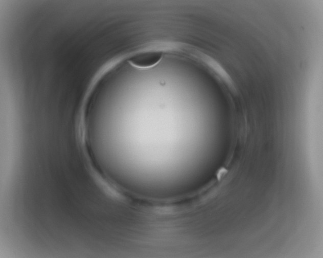 X0000114431080200910231229