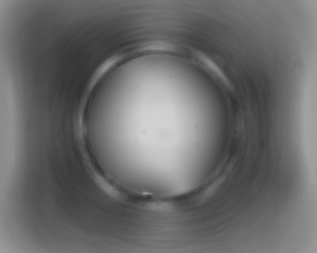 X0000114431082200910231229