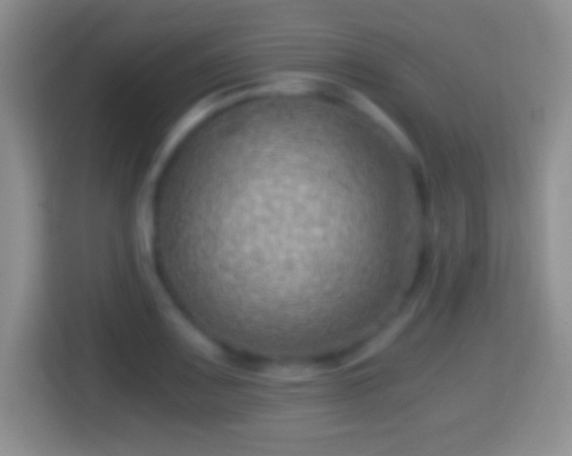 X0000114431083200910231229
