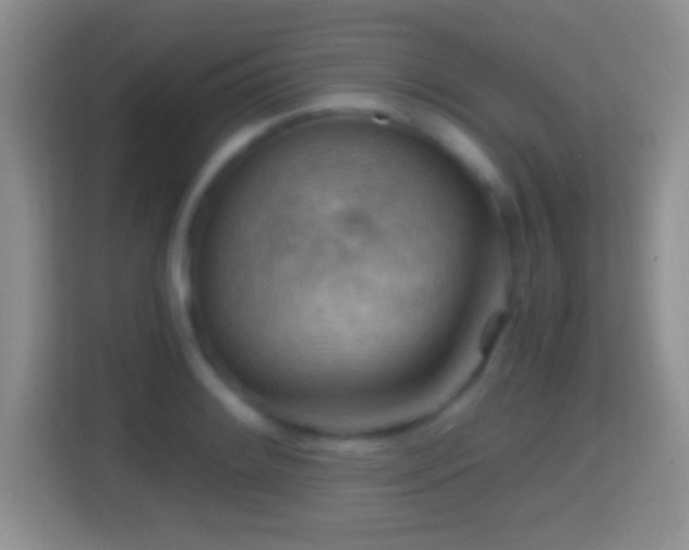 X0000114431084200910231229