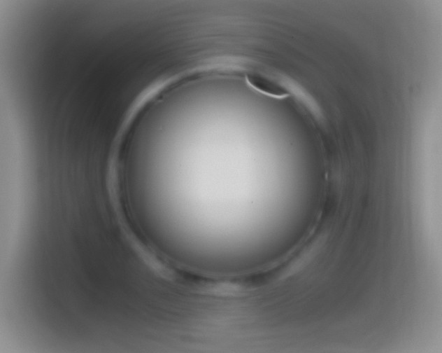 X0000114431085200910231229
