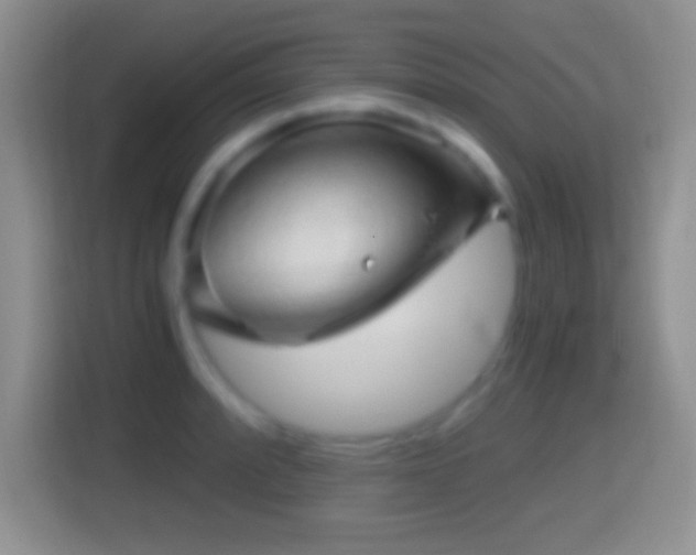 X0000114431088200910231229