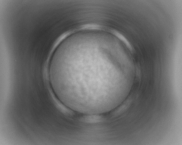 X0000114431090200910231229