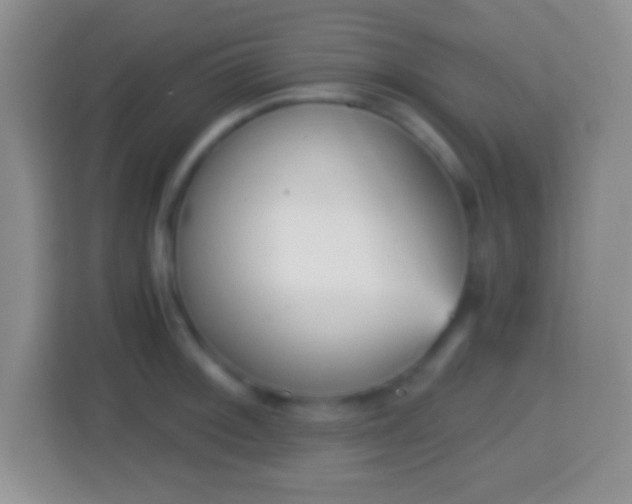X0000114431092200910231229
